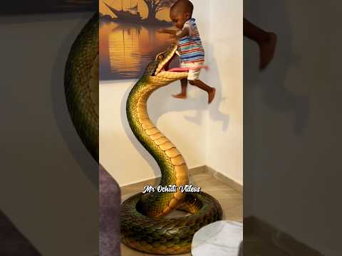 People should learn from this