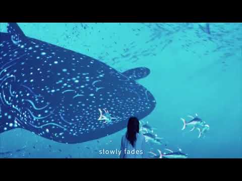 多媒體案例 - 台中海洋館沉浸式體驗