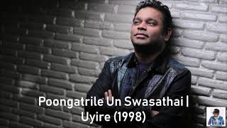 Poongatrile Un Swasathai  Uyire (1998)  AR Rahman 