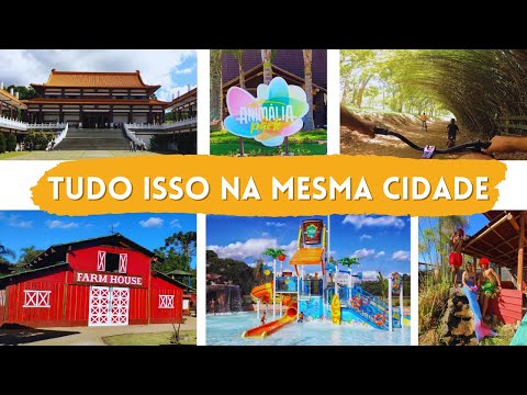 7 LUGARES PRA IR EM COTIA