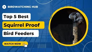 Top 5 Best squirrel proof bird feeders