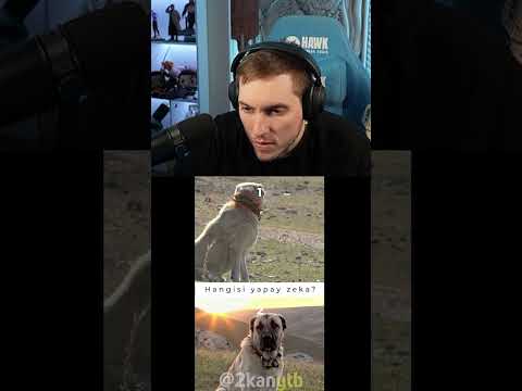 RRaenee | Hangisi yapay zeka? #3
