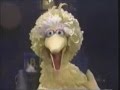 Sesame Street Elmo Sleeps Over At Big Bird S Nest
