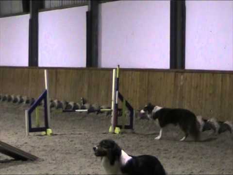 Kai training agility manege 08-02-2014 part3