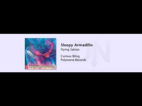 Flying Salvias - Curious Bling - 11 - Sleepy Armadillo
