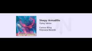 Flying Salvias - Curious Bling - 11 - Sleepy Armadillo