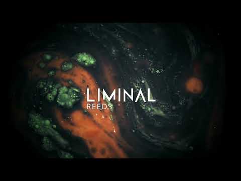 Free Download LiMiNAL: Reeds KONTAKT