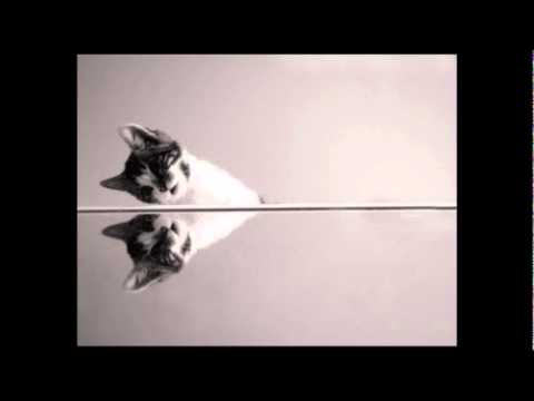 Yodelice - The Other Side