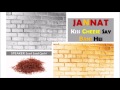 Jannat Kiss Cheez Say Bani Hei Jannat Ka Bayan