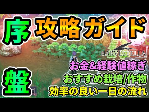 ヒラリス
