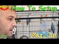 How to Setup a cage for Pet Lovebirds ! Lovebird care 2020 !
