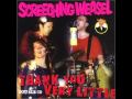 21 Fuck You by Screeching Weasel