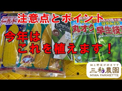 春の息吹を感じる3月に庭で何をしましょうか？ 2月の準備の後、3月に何を植え、種をまき、収穫するでしょうか？  庭園