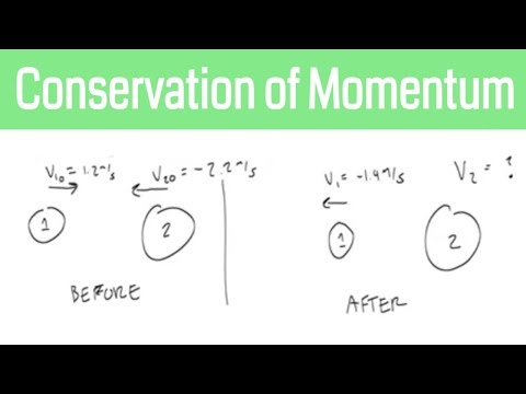 Conservation of Momentum Basic Problems