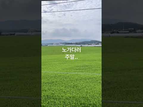 용인 숙식노가다러 주말.. #숙노#노가다#용인#평택#배관#하이닉스#반도체클러스터#반도체#주식#코인