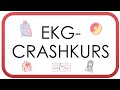 ekg crashkurs auswerten in unter 10 minuten av block vorhofflimmern stemi perikarditis