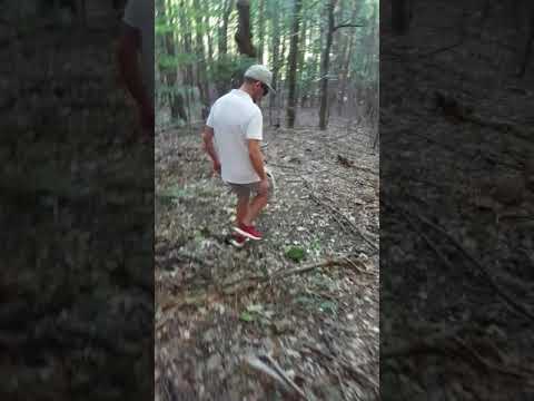 Drumul Luanei (Bozioru, jud Buzau)