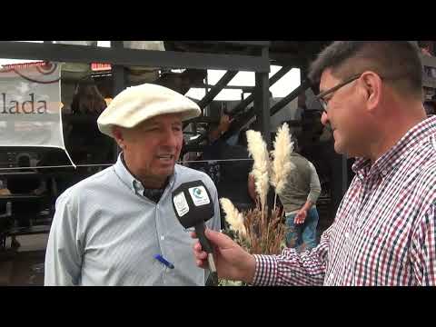 REMATE ESTANCIA LA PELADA NOTA EDUARDO BREST ECIA EL QUEBRACHO