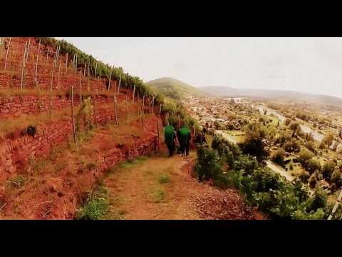 German Spätburgunder To The Limit - KLINGENBERG
