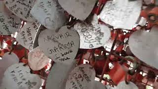Tony Carrasco ~ X-press Yourself