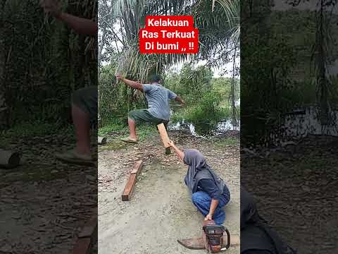 kelakuan Ras terkuat dibumi #feedshorts #viralvideo #fyp