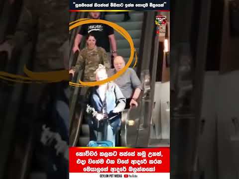 කාලෙකට පස්සේ තම ස්වාමියා දැක්ක හැටියේ මෙයාල කරනදේ බලන්න | HEARTWARMING Dog & Owner Reunions #shorts