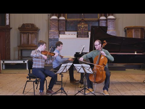 'Beethoven: The Piano Trios Vol.1' by the Busch Trio