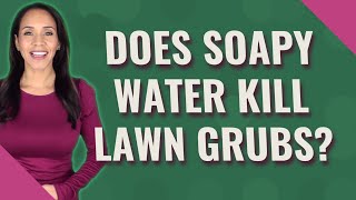 Does soapy water kill lawn grubs?