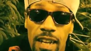 Redman feat. Ready Roc - Sourdeezal (Official Video)