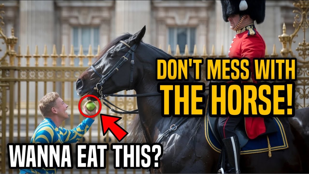This Guy Tried to Knock Over a Guard’s Horse—And Got What He Deserved!