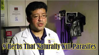 how to kill parasites inside your, 9 Herbs That Naturally Kill Parasites