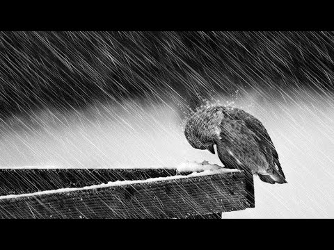 De ce ziua de duminică este un chin pentru mulți creștini? | live 045