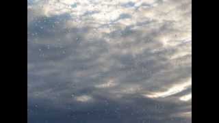 Sinead O&#39; Connor - She Who Dwells - Song Of Jerusalem - 22-12-2013 - 12