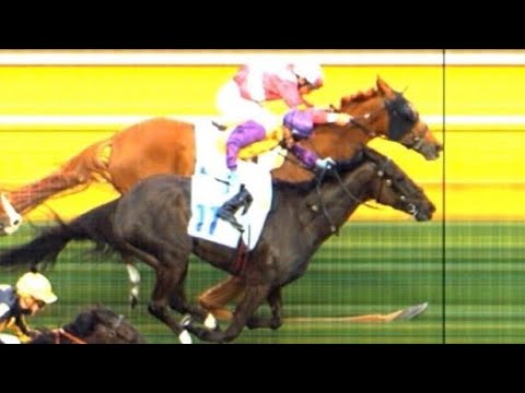 SUPERSTORM WINS THRILLER | 2021 JOHN F. FEEHAN STAKES (G2) | Cox Plate Win and Your In