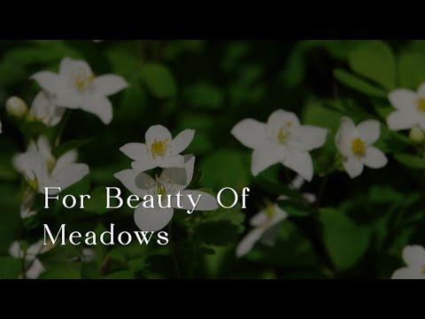 640 SDA Hymnal - For Beauty of Meadows (Singing w/ Lyrics)