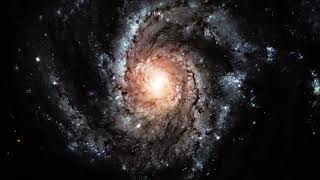 A New Bizarre Possibility Regarding Primordial Black Holes