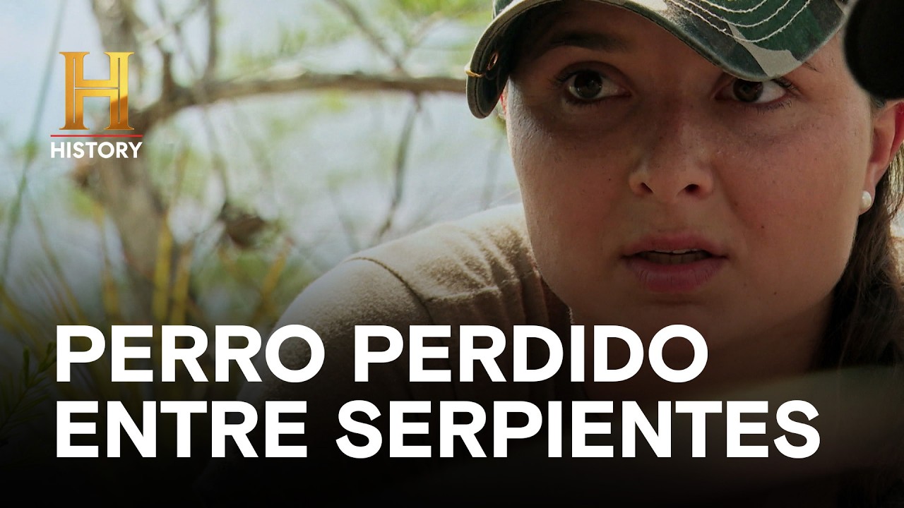 PERRO PERDIDO ENTRE SERPIENTES - AMOS DEL PANTANO: INVASIÓN DE SERPIENTES