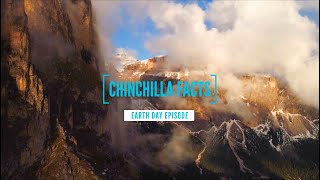 Chinchilla Facts (Happy Earth Day)