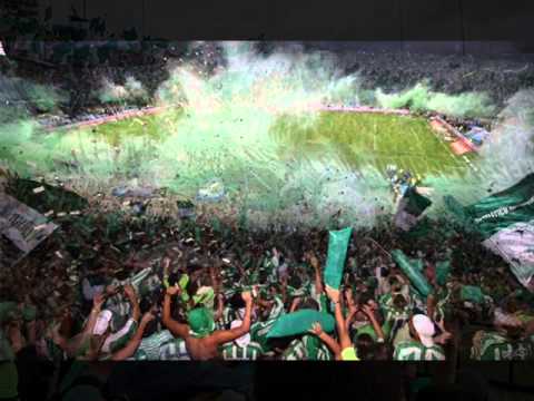 La Banda Los Del Sur | CÁNTICOS Mix1 | Los Del Sur Siempre Presentes | Atletico Nacional