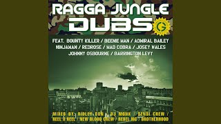 You Don't Love Me (No No No) (Reel Ii Reel Junglist Mix)