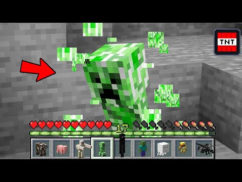 MINECRAFT MA POSSO MANGIARE TUTTI I MOB!