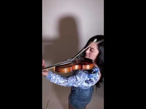 Promotional video thumbnail 2 for Aspen Violin