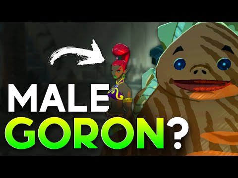 Mysteries You CANNOT Explain in Breath of The Wild!