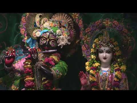Radhastami Morning Program by HG Vaisesika Prabhu, 08-29-17