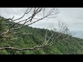 EXPLORING FOREST Bike Ride