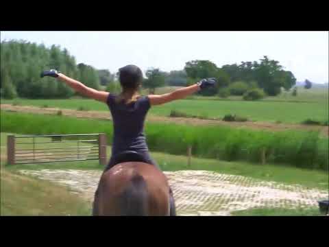 MUSTANG MAKEOVER 2018 Team Yvet (TAG 3173) - Update 6