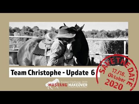 Mustang Makeover 2020 - Team Christophe (TAG 5120) - Update 6
