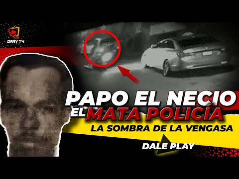 PAPO THE FOOL the M4T4 police the SHADOW of REVENGE | what really happened