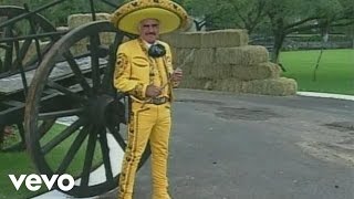 Vicente Fernández - Niña Hechicera