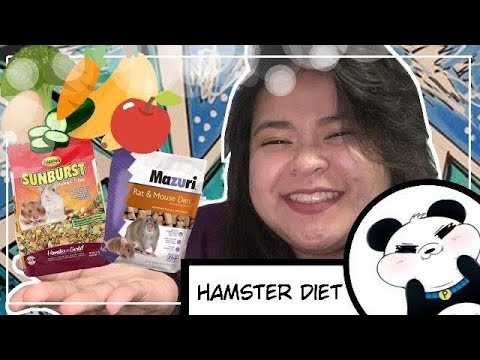 Hamster Diet | Hamster Food Guide | | Safe and Unsafe🐹Food |How to feed your hamster the right way?